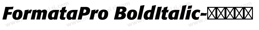FormataPro BoldItalic字体转换